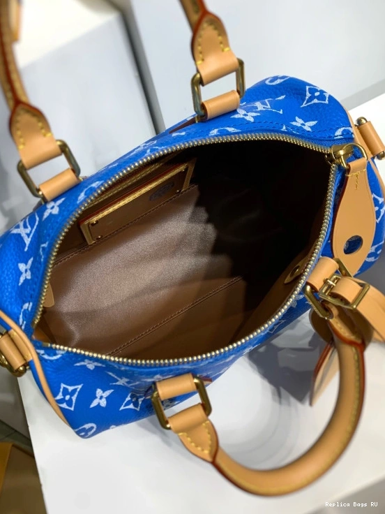 Cheap Vuitton SPEEDY Louis 25 0812